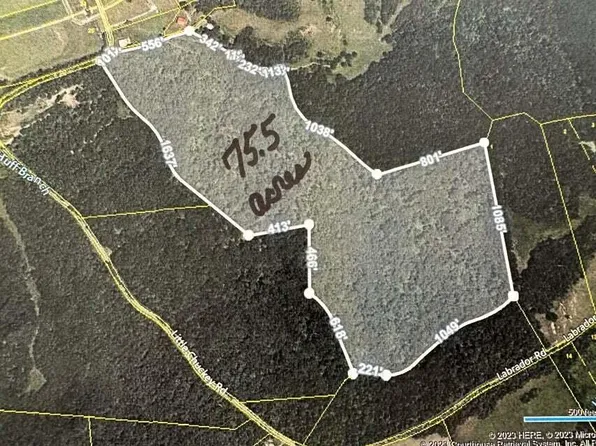 0 Little Chuckey Rd, Mosheim, TN 37818