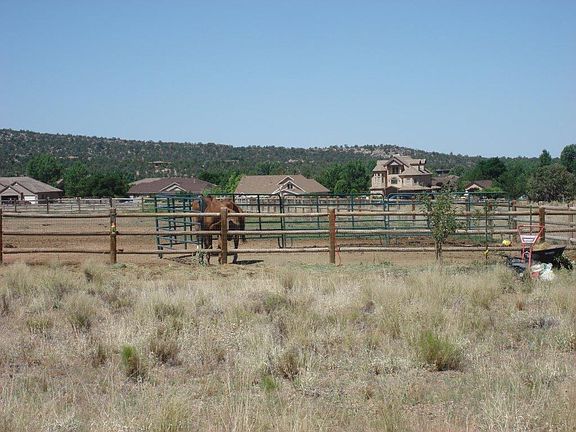 Horse Pasture