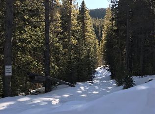 78 Mackinaw Ln, Idaho Springs, CO 80452