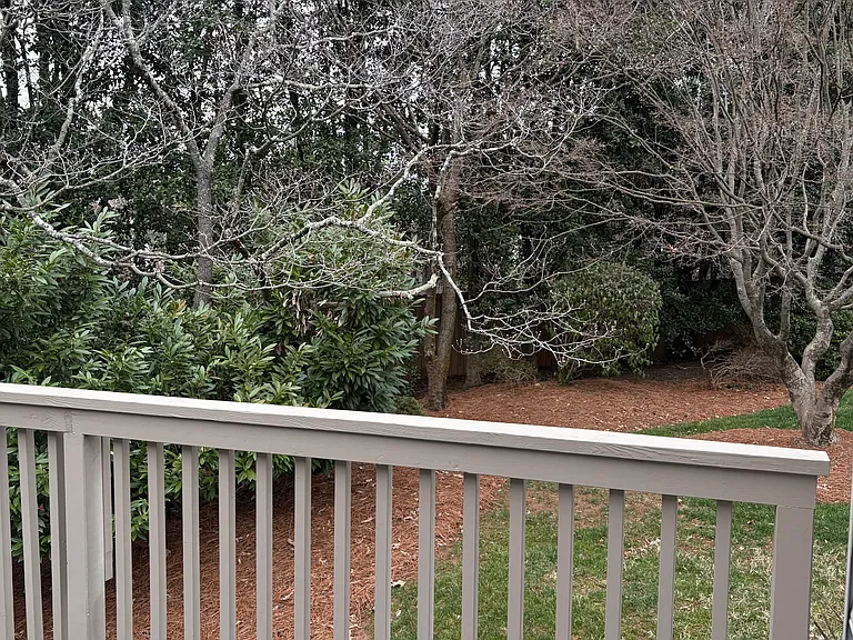 Deck overlooking private wooded setting