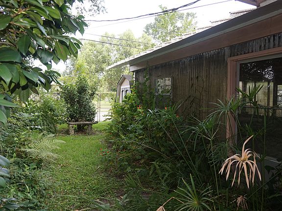 Side yard and Greenhouse