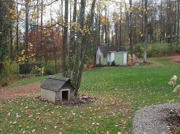 Yes, that's a tree house in the back!!