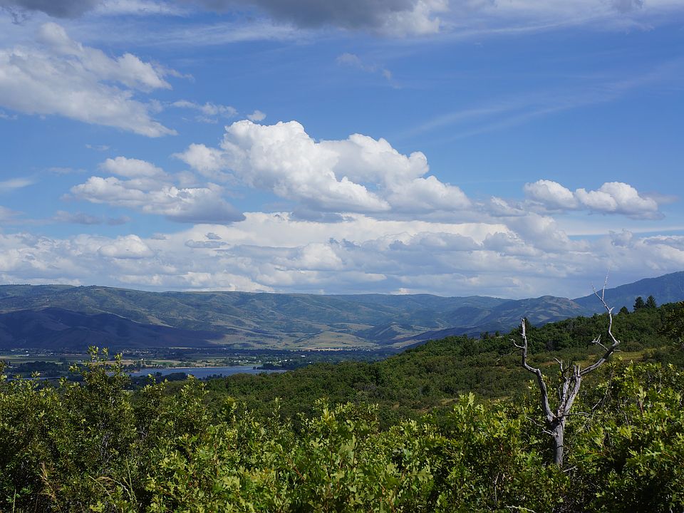 View from the property