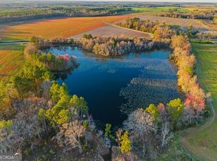 1567 Salem Church Rd, Rebecca, GA 31783