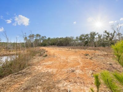 0 Cardinal Ln, Monticello, FL, 32344