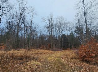 11063 N Arbogast Rd, Morley, MI 49336