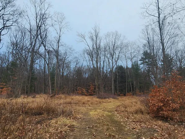 11063 N Arbogast Rd, Morley, MI 49336