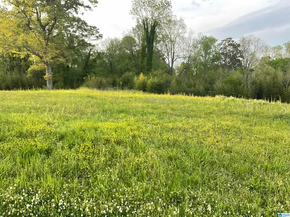 0 Jones St #2-3, Lincoln, AL 35096