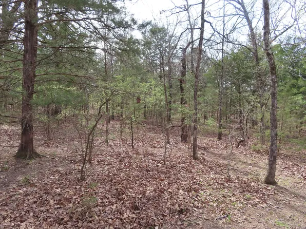 Cabin Rd, Heavener, OK 74937