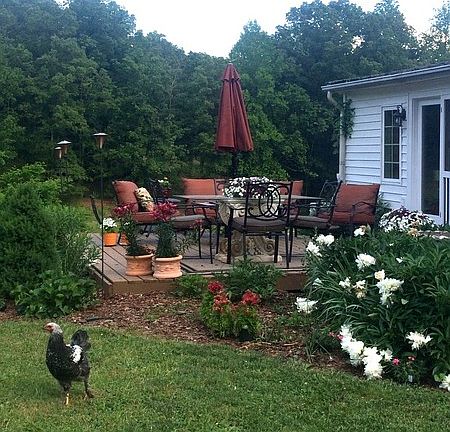 Deck surrounded by flowers : Unwind with friends on this spacious deck surrounded by relaxing tranqu