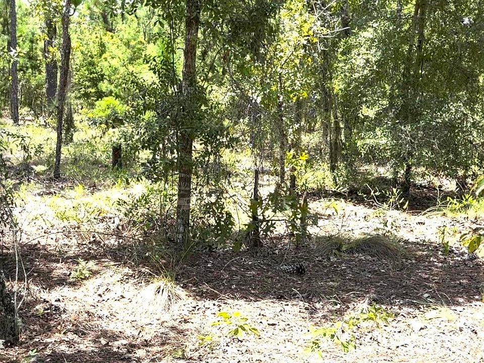 1st image of 126 TYLER Trail