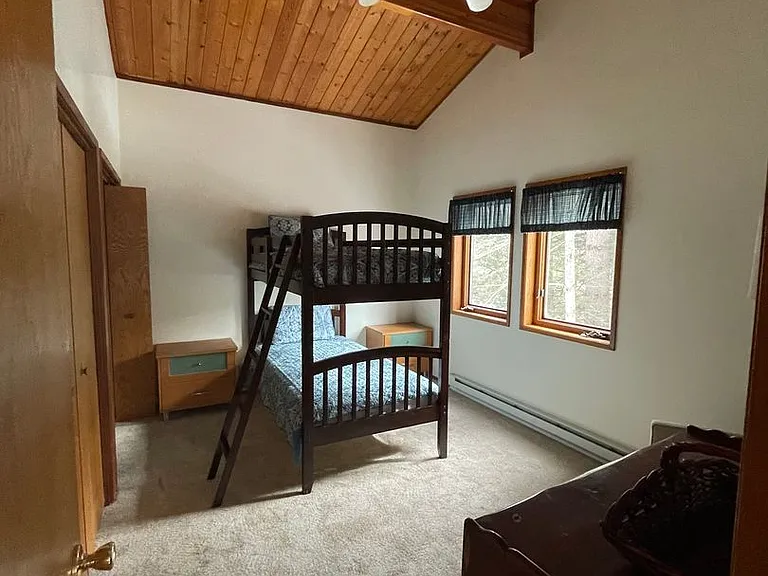 3530 Spruce Cabin Rd — Photo 16