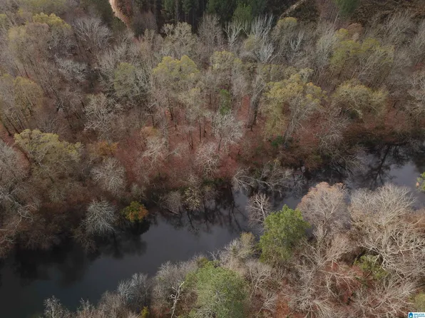 0 County Road 290 #3-13A, Muscadine, AL 36269