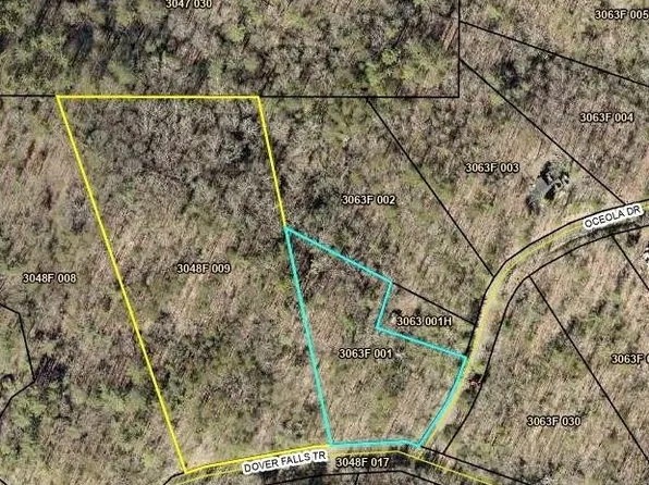 9 Dover Falls Trl #9, Ellijay, GA 30540