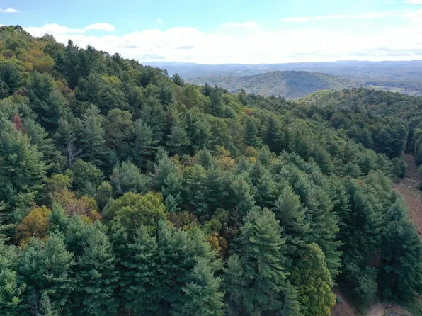 Tbd Fannies Ln, Fries, VA 24330