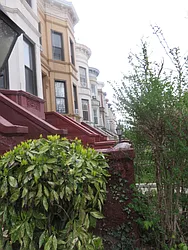 Rented by Space Real Estate