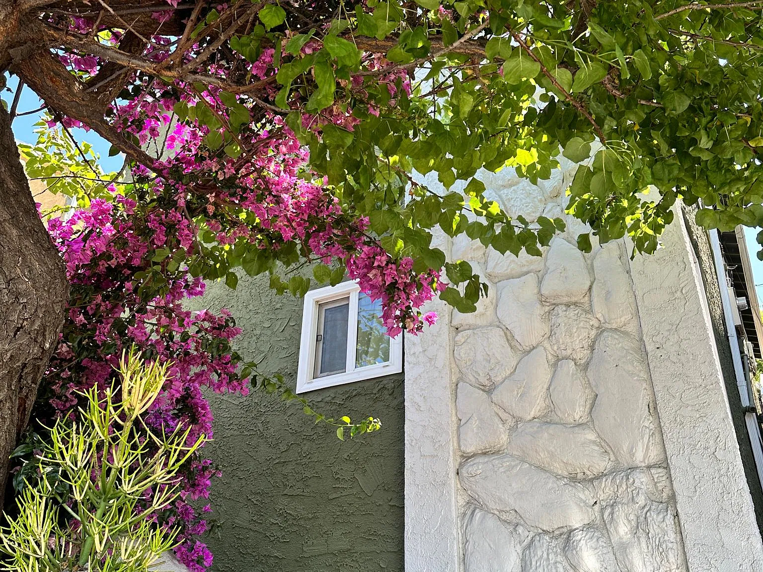 3 bed, 1.5 bath, 1300 sqft, $3,200 — Photo 3