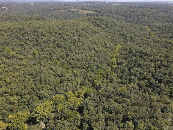 550 Hillbilly Hollow Trl, Yellville, AR 72687