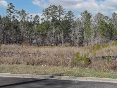 17 Chelsea Rd, Columbiana, AL, 35051