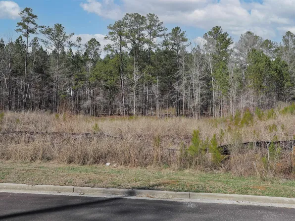 17 Chelsea Rd, Columbiana, AL 35051