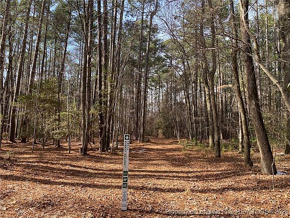 4th image of Breezeway Ln