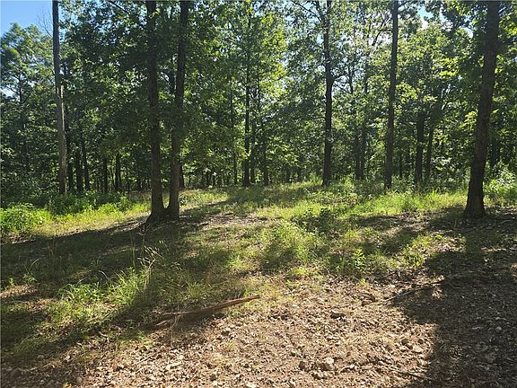 2nd image of LOT 9 Esculapia Hollow Rd