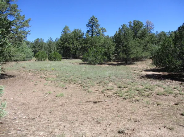 20 Roadrunner Dr, Ramah, NM 87321