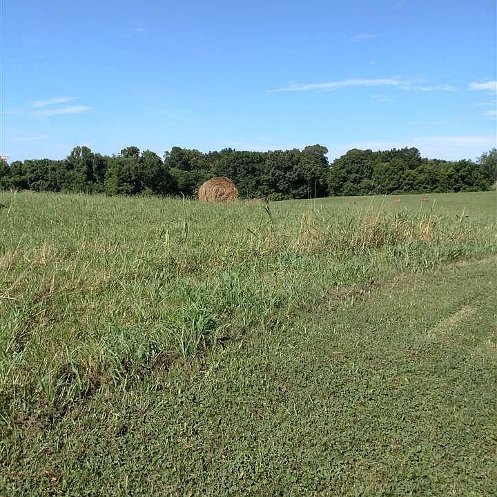 2nd image of TRACT 1 Hart Rd
