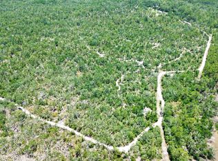 0 Clearwater Creek Ln, Perry, FL 32348