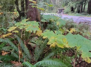 2619 Mora Rd, Forks, WA 98331