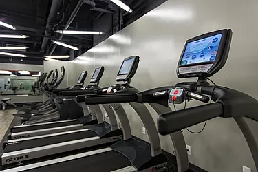 Rented by Stellar Management