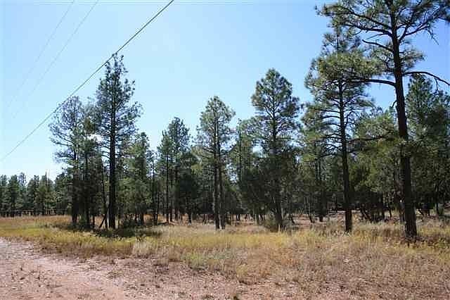 1st image of Tbd E Sitgreaves Dr