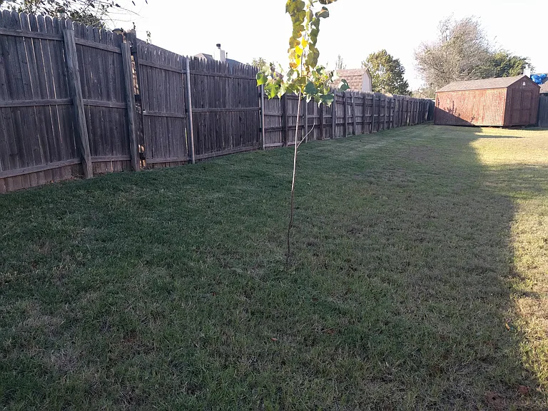 1700 Teakwood Cir — Photo 27