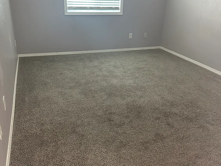 4502 Moline Ln — Photo 15