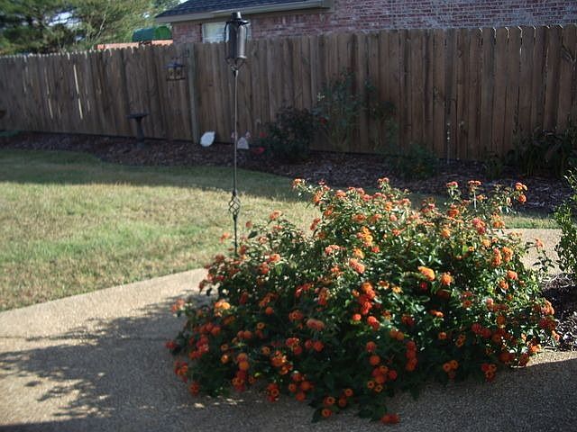2nd image of 8464 Cottonwood Dr