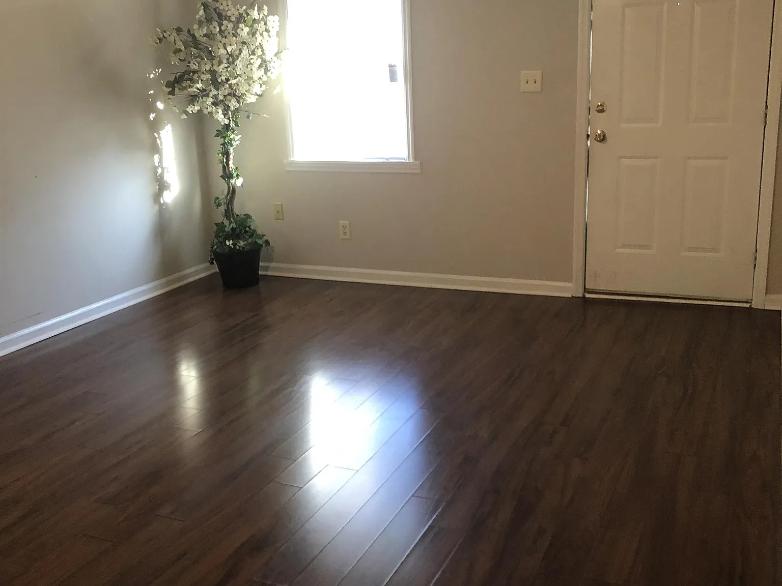 1001 West Hancock Street - B — Photo 4