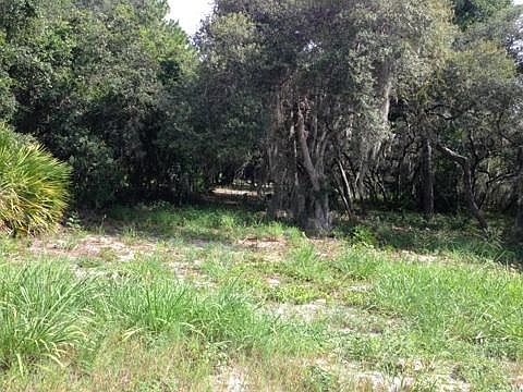 5th image of 536 Heartland Blvd