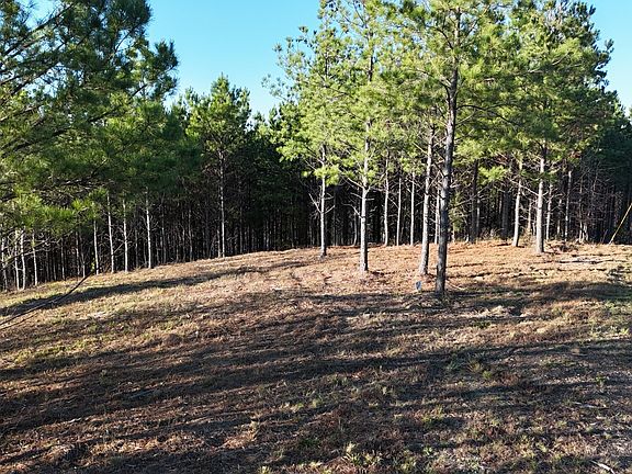 2nd image of 252 Streamside Dr Lot 142