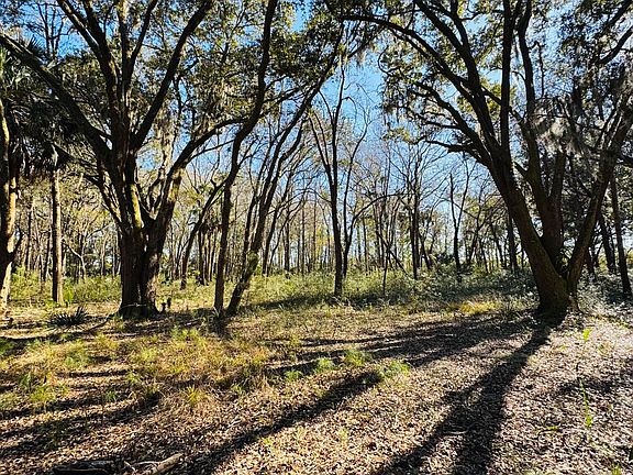 3rd image of 0 Rosa Scott Rd