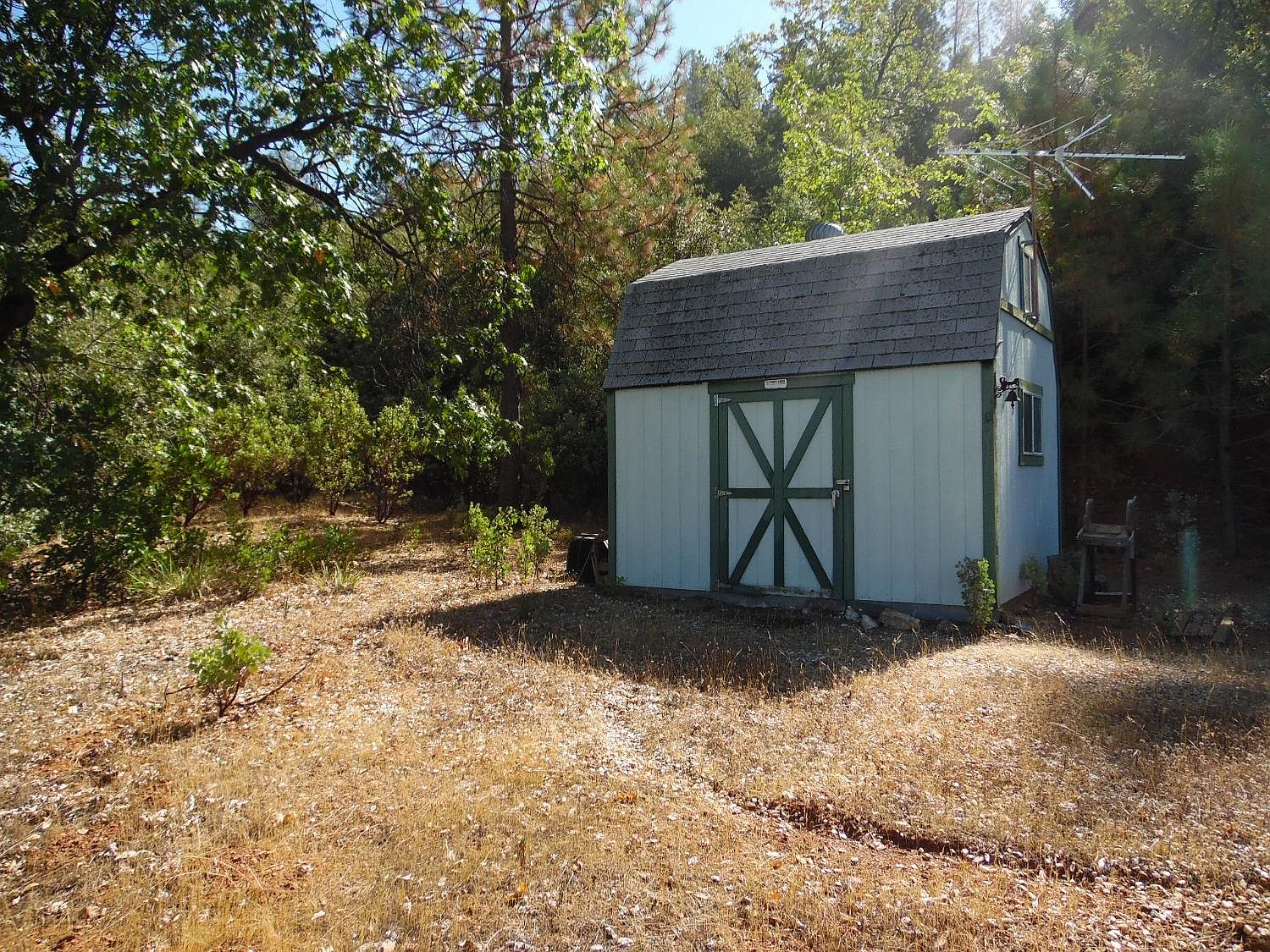 5650 Pappalardo Promenade, Murphys, CA 95247 MLS 202303499 Zillow