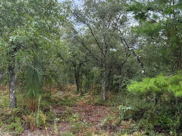 0 NW White Ln, Altha, FL 32421