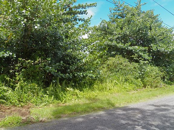 3rd image of 13th Ave Lot 1111
