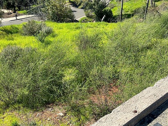 4th image of 3603 Orbetello Court