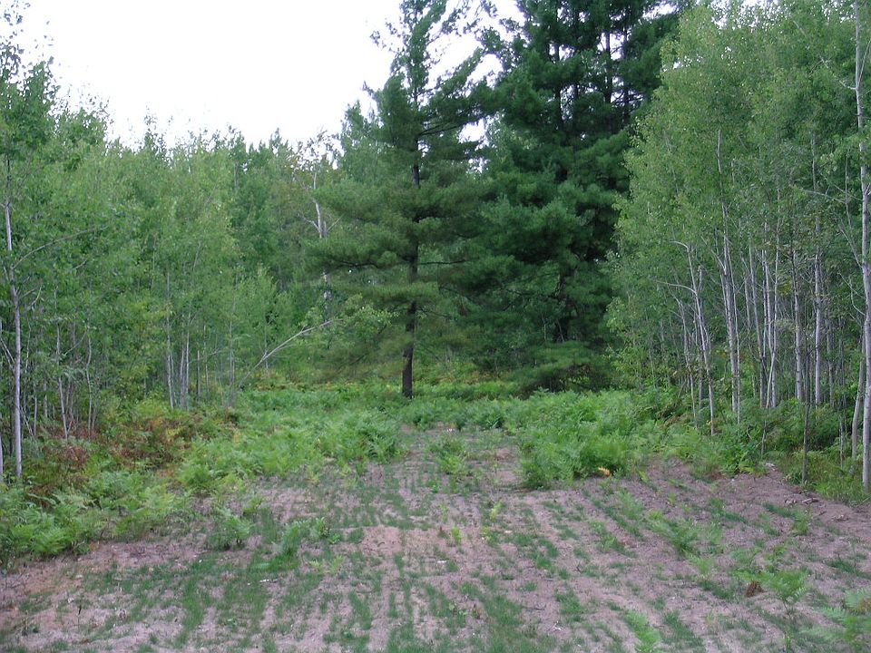 1st image of 5064 Blue Jay Ct SW