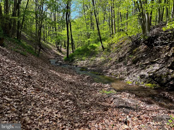 537 Whispering Woods Rd, Maysville, WV 26833