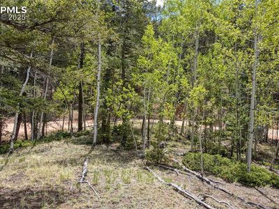 1058 Bennett Dr, Cripple Creek, CO, 80813