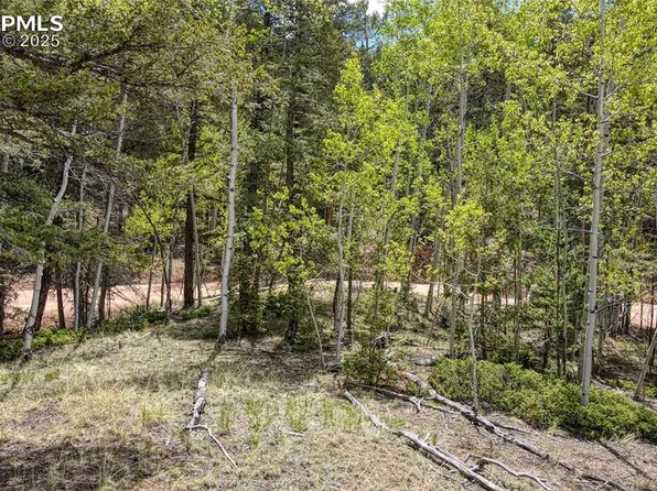 1058 Bennett Dr, Cripple Creek, CO 80813