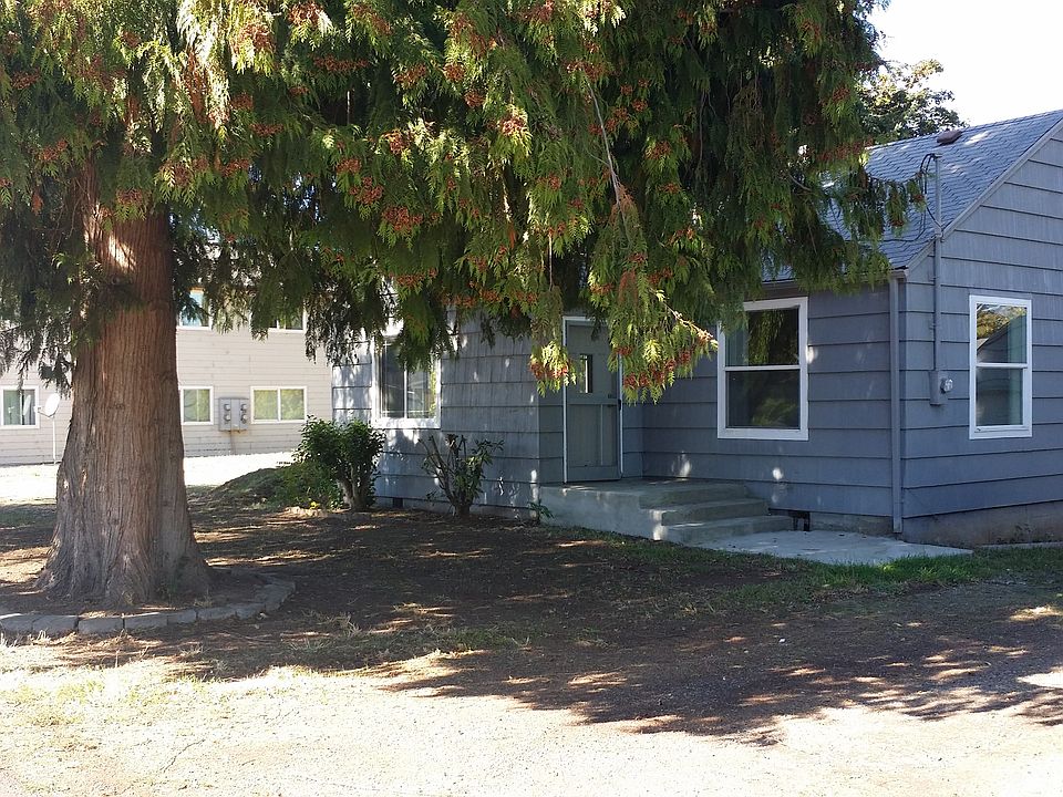 Beautiful shade trees out front