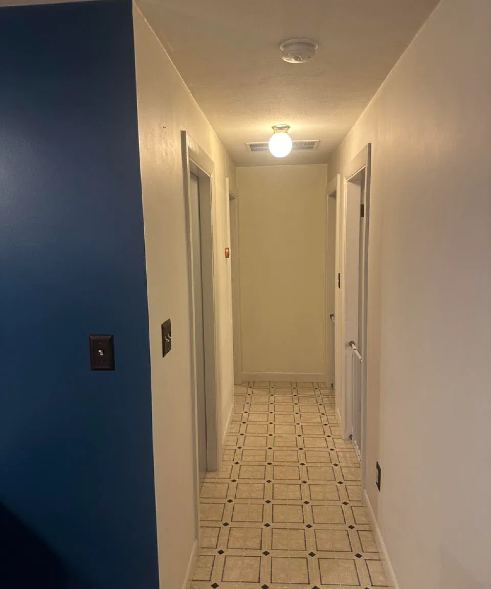 3 bed, 1260 sqft, $2,800 — Photo 3