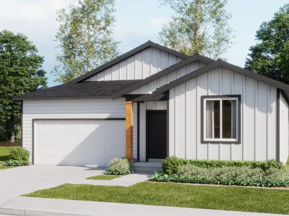 Hamilton Plan, Ponderosa Pines